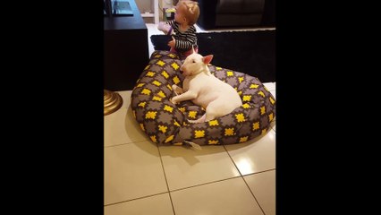Baby shares her drink with her doggy