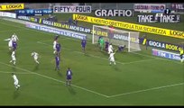 Francesco Acerbi Goal HD - Fiorentina 2-1 Sassuolo - 12.12.2016