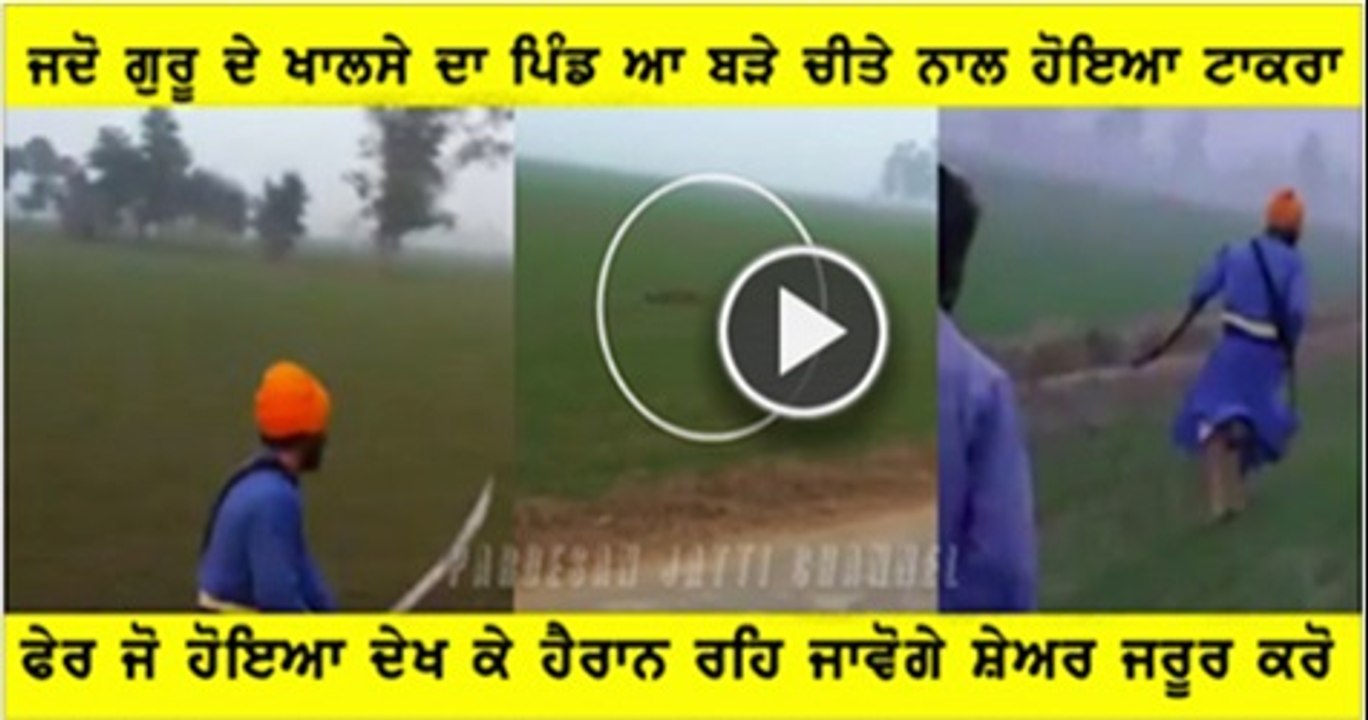 Tiger pishe guru da khalsa