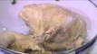 دجاجة محمرة - ملوخية مصري - سبانخ - ارز مصري | عيش وملح حلقة كاملة