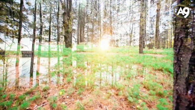 Die Zeichen der Gemeinschaft