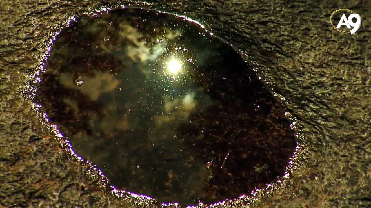 Die Informationen im Koran