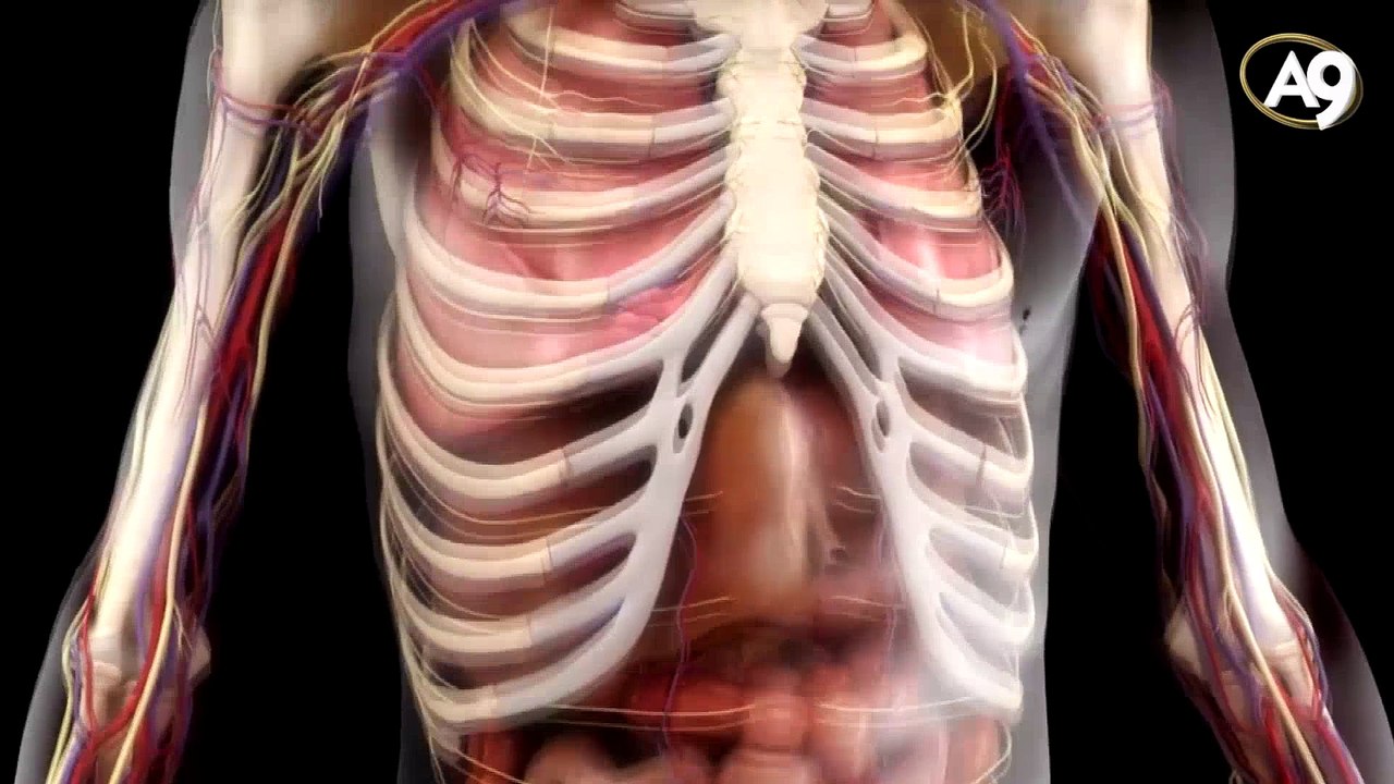 Der zum Nachdenken anregende menschliche Körper