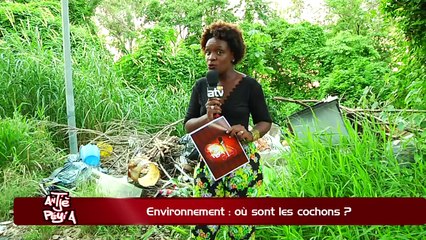 ATPA 13 12 16 OU SONT LES COCHONS STEPHANE ABRAMOVICI OK