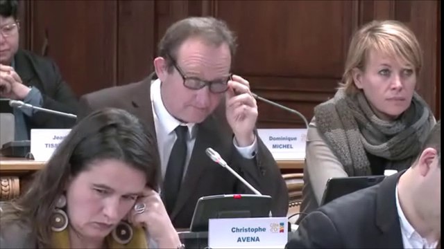 Christophe AVENA. Budget primitif 2017 de l'action sociale et des solidarités. Session de décembre 2016