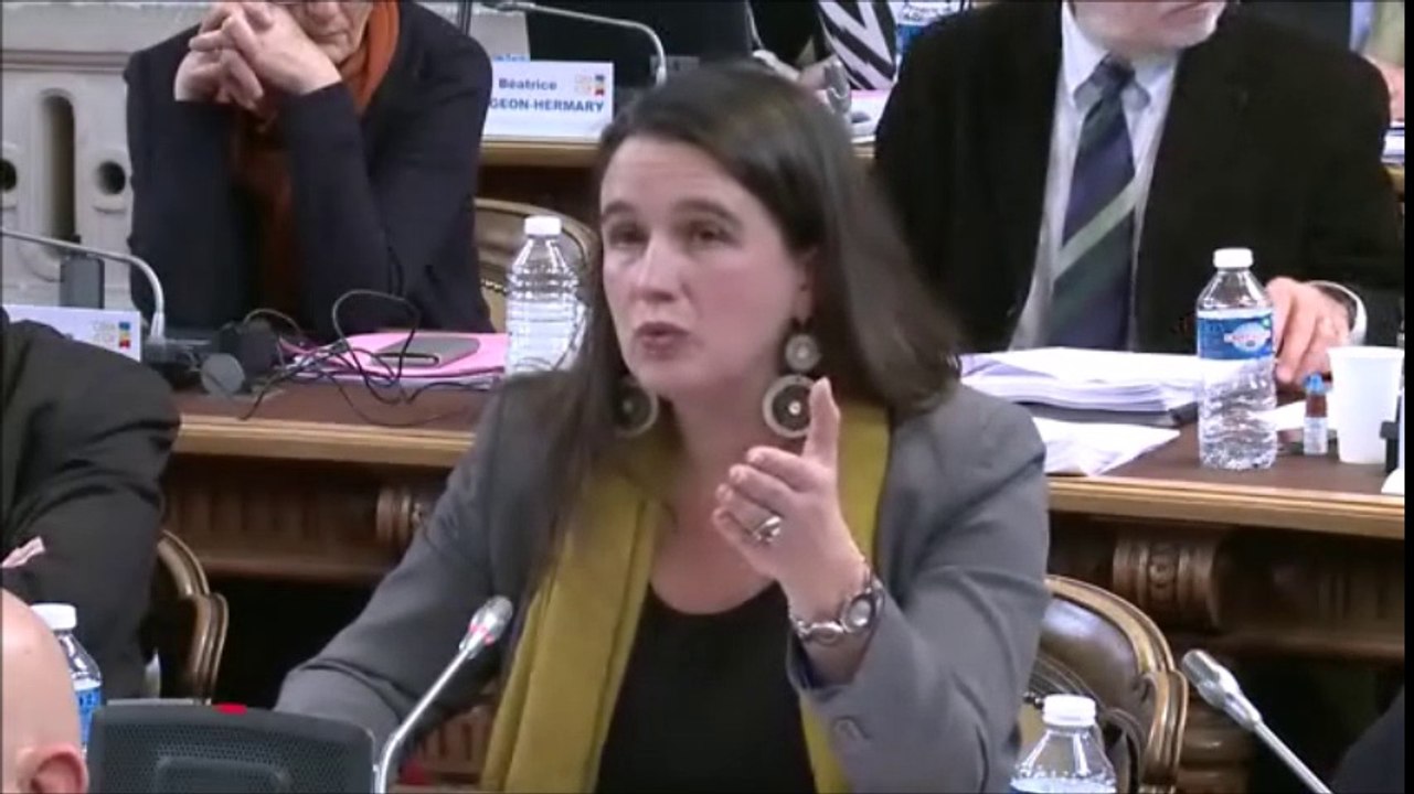 Céline MAGLICA. Budget primitif 2017 de l'action sociale et des solidarités. Session de décembre 2016