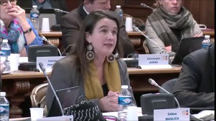 Céline MAGLICA. "Lutte contre la fraude sociale". Session de décembre 2016