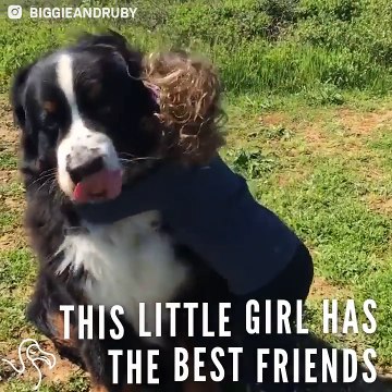 Little Girl Is Growing Up With Two Giant Dogs