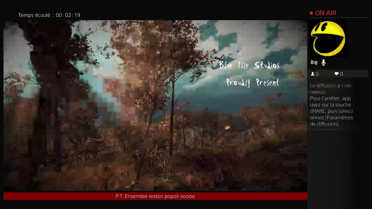 Le coton tige géant des bois (46)