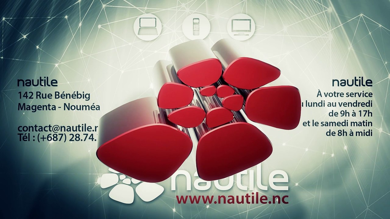 Quand les constructeurs s'associent (Nautile Internet - Distributeur Canal+ Nouvelle-Calédonie)