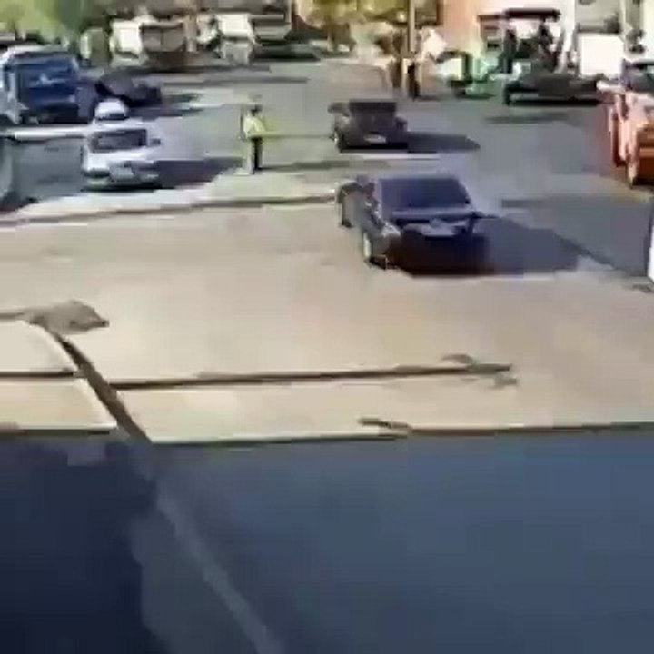 Touro miserável
