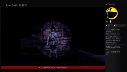 Le coton tige géant des bois (47)