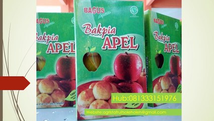 081333151976,(Telkomsel),Bakpia Apel,Sariapel,Manisan Apel