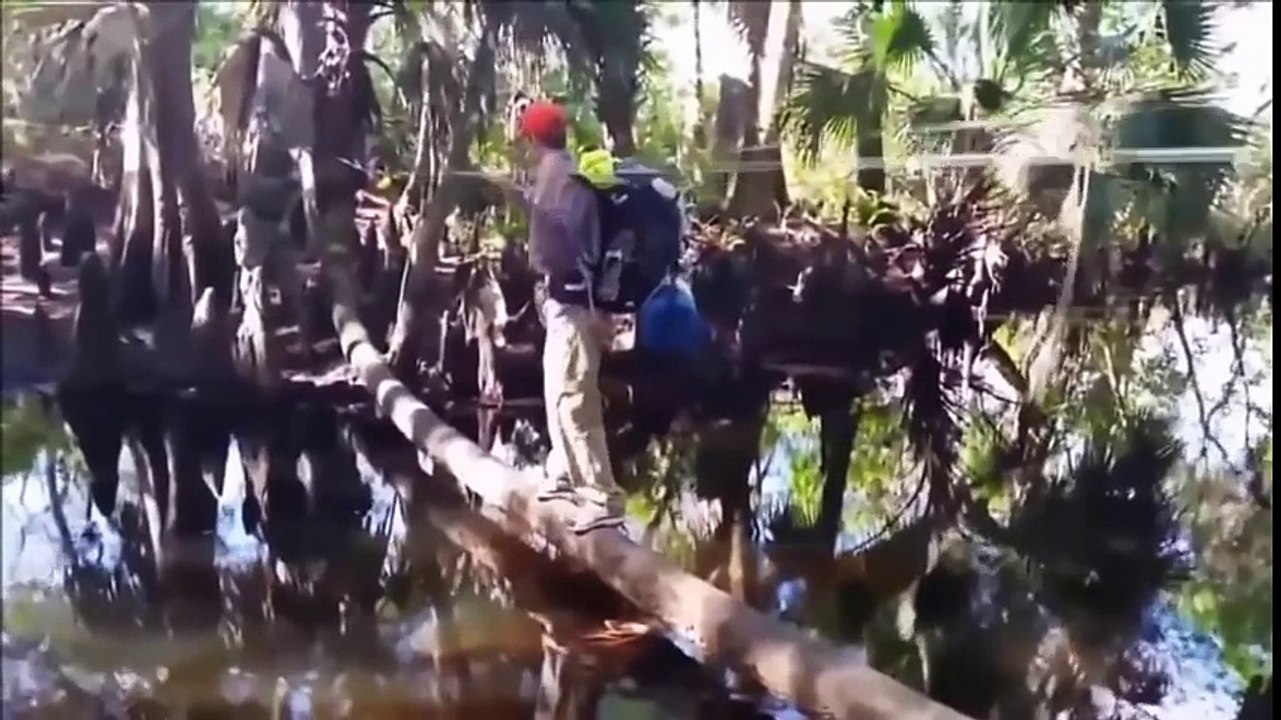 Best Fails Compilation December 2016   Funny Videos 2016   Epic Fail Compilation 2016 | Best Funny  Video clips