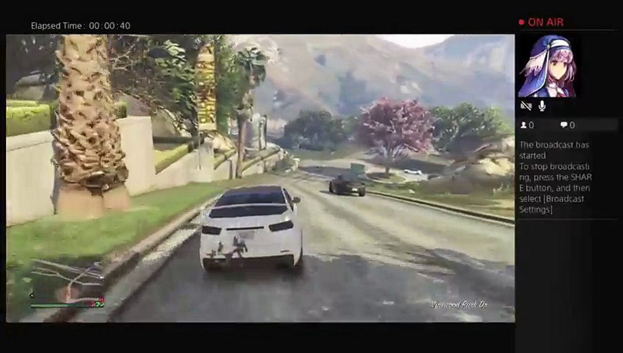 Gta 5 ceo work and missions (8)