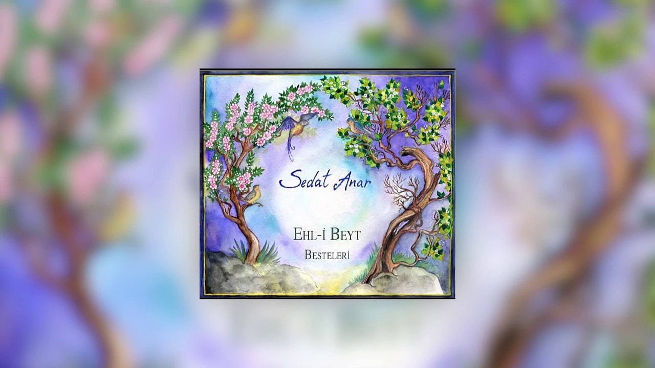 Sedat Anar - Bu Matemde Olan