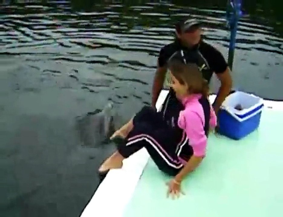 Dolphin Has Sex With Woman