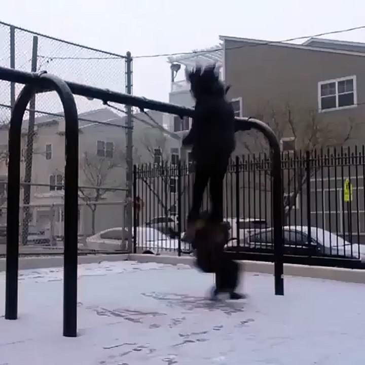 funny girl fall down on earth