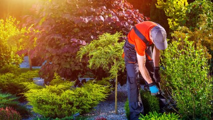 Whitaker Lawn & Outdoor Services - (301) 329-0298