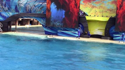 One Ocean (Full Show) SeaWorld San Diego 9 20 14