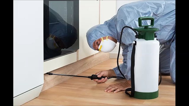 Attack Termite And Pest Control - (937) 365-0218