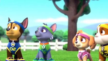 ЩЕНЯЧИЙ ПАТРУЛЬ на русском 2017 - все звезды щенками