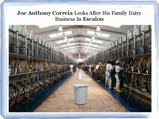 Joe Anthony Correia Looks After His Family Dairy Business In Escalon
