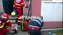 Un pompier sauve un chien en lui faisant du bouche-à-bouche, il enflamme la toile