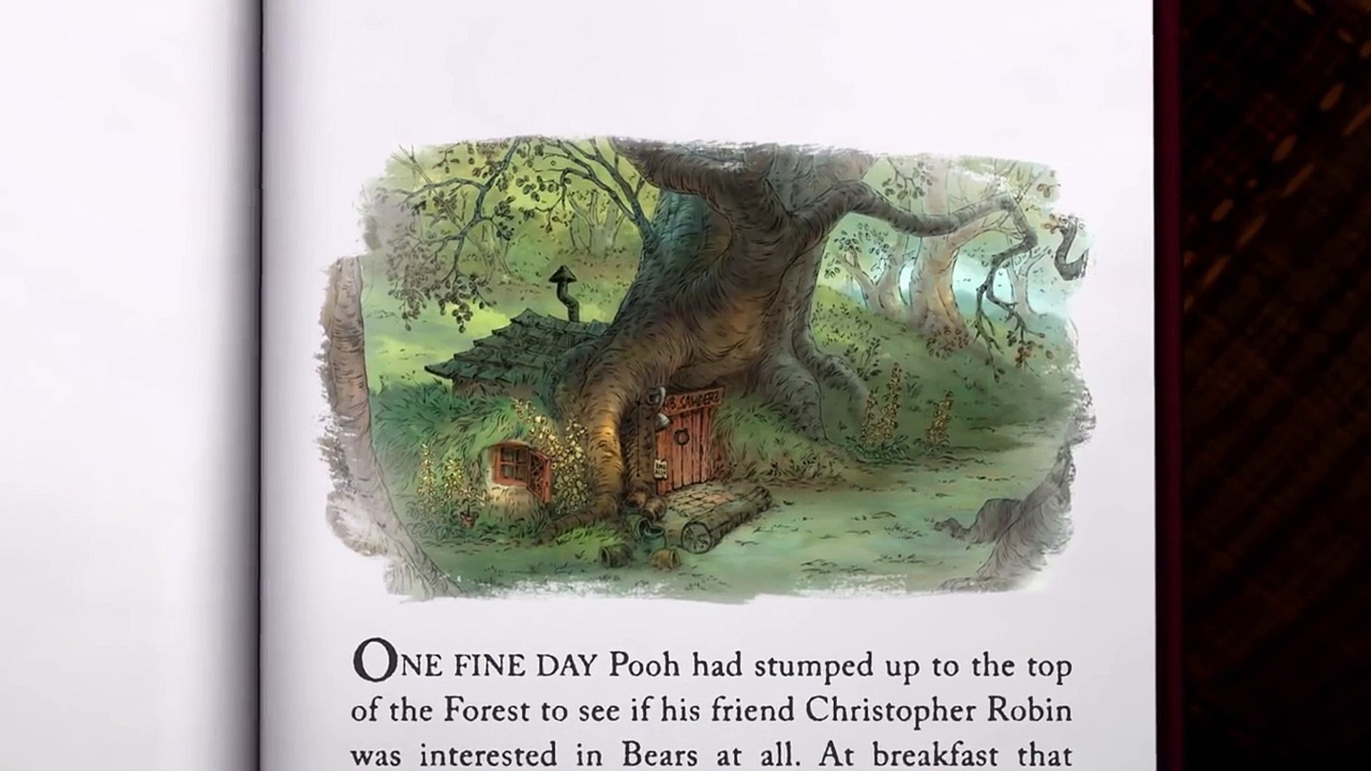 Pooh's Tummy, The Mini Adventures of Winnie The Pooh