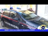 Brindisi | Scacco alla criminalità organizzata, 58 arresti