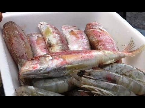 Napoli - L'acqua pubblica e le fritture di De Luca , il comitato torna in piazza (12.12.16)