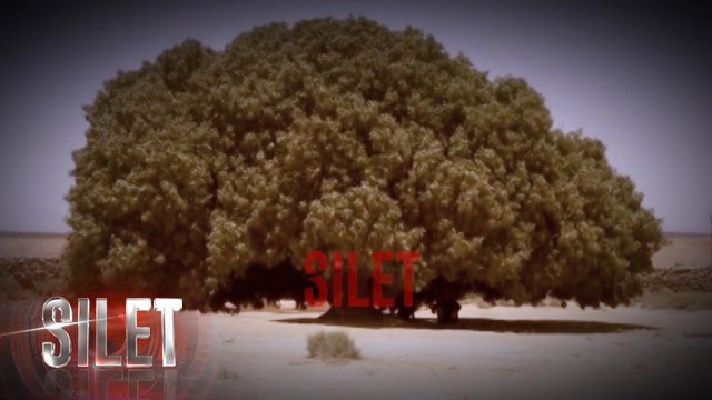 Pohon Sahabi, Tempat Nabi Muhammad Berteduh - Silet 13 Desember 2016