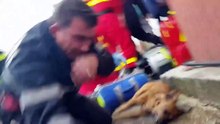 Un pompier sauve un chien grâce à un héroïque "bouche-à-gueule" !