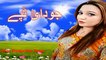 Pashto New Tapy 2017 Nazia Iqbal & Bakhan Meenawal best tapy Top Tape 2017
