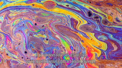 Le biomimétisme selon Idriss Aberkane #5 : la coloration structurelle