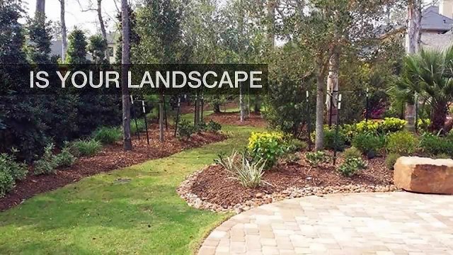 The Importance Of Hiring Professional Gardeners