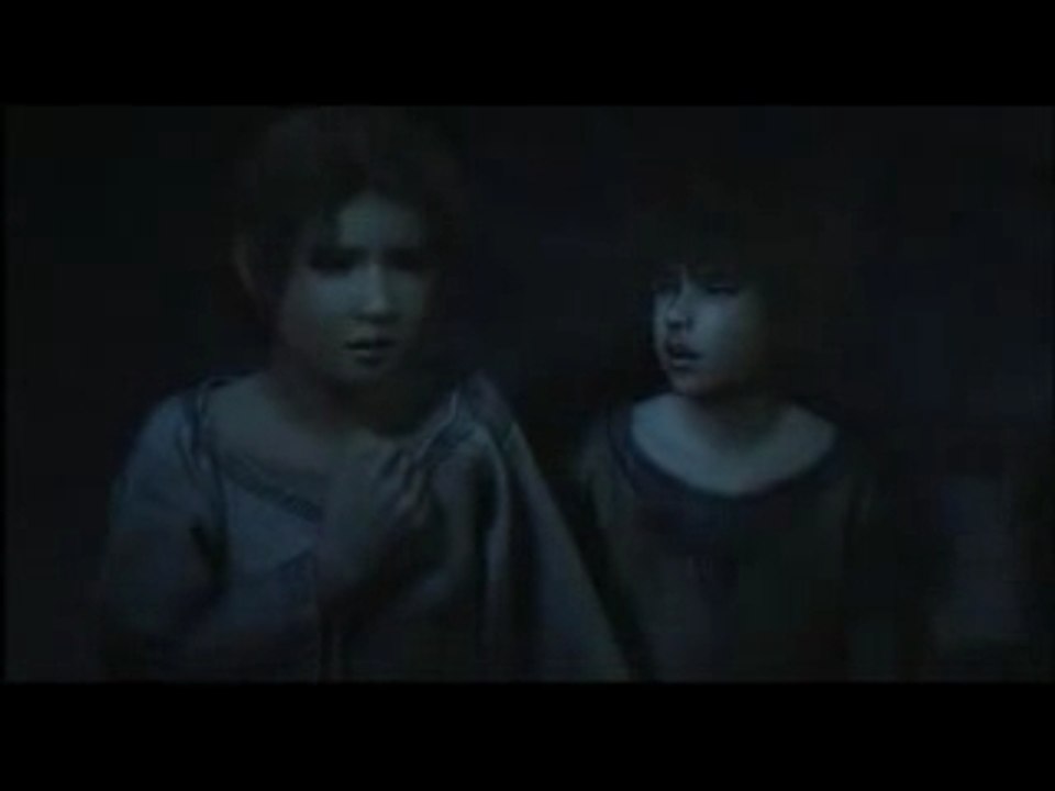 Final fantasy XI introduction