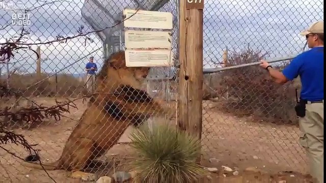 Нужно теперь штаны поменять)))