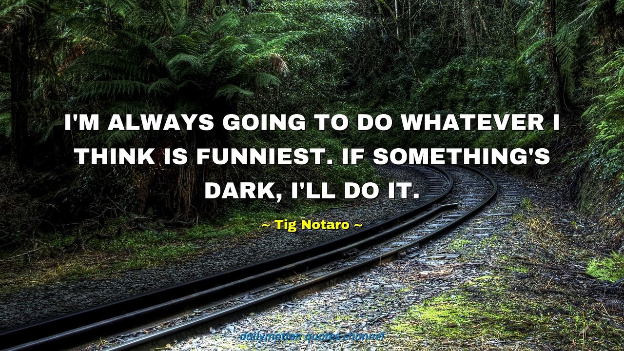 Tig Notaro Quotes