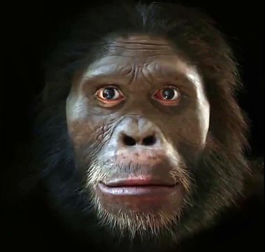 Эволюция человека за 6 000 000 лет.Наглядная эволюция от обезьяны к человеку