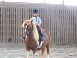 DOMAINE EQUESTRE LA CHAUME 0807