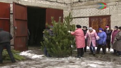 ТВ Сфера - выпуск 13 декабря