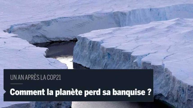 Comprendre comment la planète perd sa banquise en 3 minutes