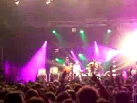 Elmer Food Beat Daniela