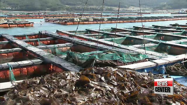 Korea invests in aquaculture in anticipation of growing seafood demand