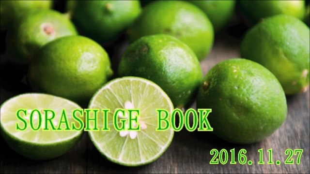 SORASHIGE BOOK#20161127