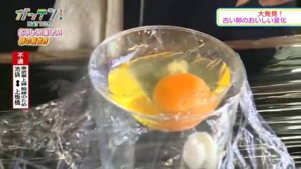 Faire naître un poussin dans un verre, c'est possible!