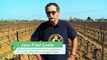 Développer le bio et préserver l'eau : un collectif de viticulteurs du Gard se mobilise