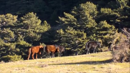 Sülüklügöl Spil Dağı