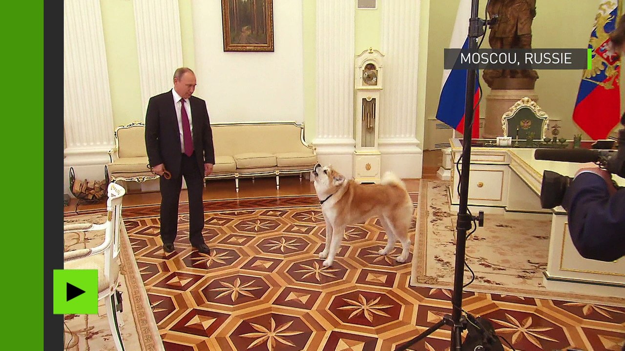 Vladimir Poutine a montré son Hachikō aux journalistes japonais